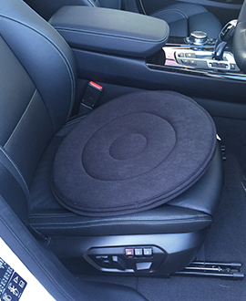 Swivel Cushions