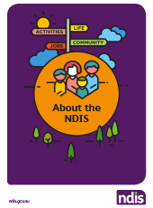 About the NDIS